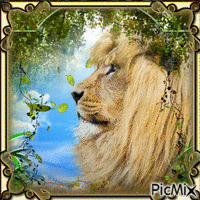 the lion animovaný GIF