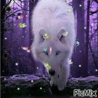 Wolf - Animovaný GIF zadarmo