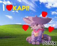 I Love Kapi - Δωρεάν κινούμενο GIF