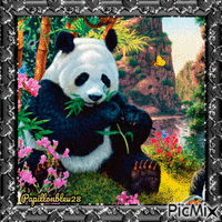 douceur de panda ! - 免费动画 GIF
