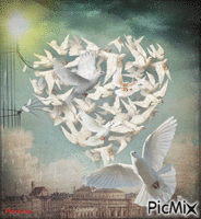 Corazón de paloma Animated GIF