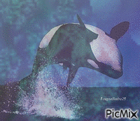 orque joueur - GIF animé gratuit