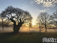 The Mist - Free animated GIF