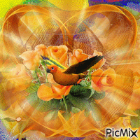 roses flashing different colors, oranges roses an orange border, four flashing lights, and an orange yellow and green flying bird. - Zdarma animovaný GIF