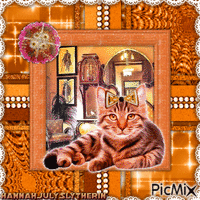 {{Cute Kitty in Orange}}
