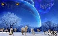 wolf pack - GIF animé gratuit
