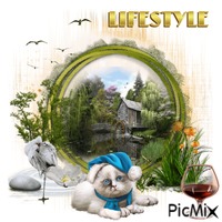 Lifestyles Of The Rich An Famous Cats GIF แบบเคลื่อนไหว