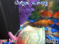 marguerite et guillaume - GIF animado grátis