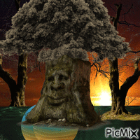 Old Man Tree geanimeerde GIF