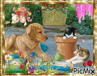 Le chat et le chien - Darmowy animowany GIF