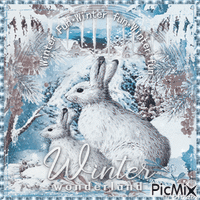 Winter animals bunny