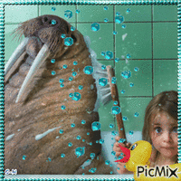 Oscar et le phoque - Gratis geanimeerde GIF