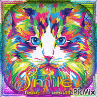 Colorful cat art - GIF animasi gratis