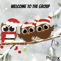 Christmas welcome owl GIF animata