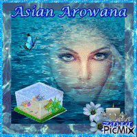 ASIAN AROWANA - Gratis animerad GIF