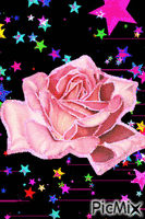 rosa - GIF animasi gratis