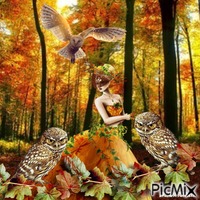 Autumn owl animuotas GIF