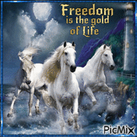 Freedom - Безплатен анимиран GIF