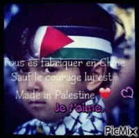 i love palestine avec tous ce qui en dur - GIF animado gratis