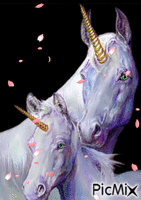 Licornes animovaný GIF
