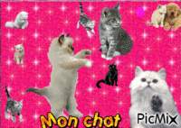 chat - Zdarma animovaný GIF