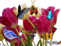 tulipán - Zdarma animovaný GIF