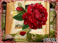Rose rouge - GIF animado grátis