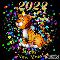 NY-2022-01 анимиран GIF