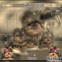 Calendrier du mois de Novembre si vous aimer je vous l,offre GIF animé