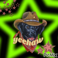cowboy dog says yeehaw - GIF animasi gratis