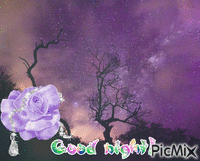 Good night! - 無料のアニメーション GIF