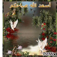 صباح  الخير3 - Bezmaksas animēts GIF