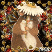 marmotte - GIF animado grátis