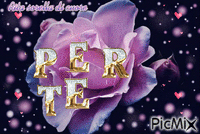 rosa viola - Gratis animerad GIF