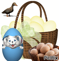 Huevos Animated GIF