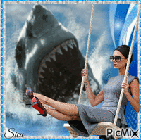 requin - GIF animé gratuit