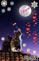 romantic moon GIF animé