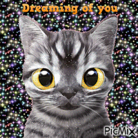Dreaming of you анимиран GIF