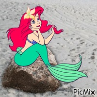 Ariel in real life