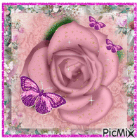 Pink rose with birthaflies. Animated GIF