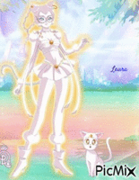Sailor Cat - Laura