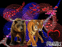 No Lions, Tigers and Bears! Oh my! - GIF animé gratuit
