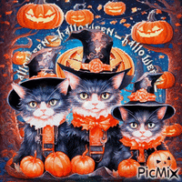 Halloween cat animals - GIF เคลื่อนไหวฟรี