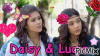Lucia & Daisy - GIF animé gratuit