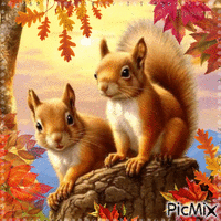 Squirrels in autumn animuotas GIF