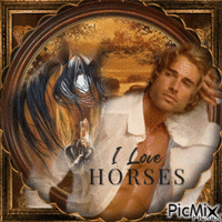I like horses