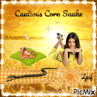 Cautious Corn snake - GIF animado grátis