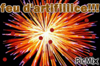 feu d'artifice - Zdarma animovaný GIF