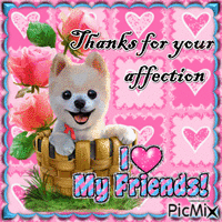 Thanks for your affection animēts GIF
