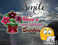 have a verry blessed sunday Gif Animado